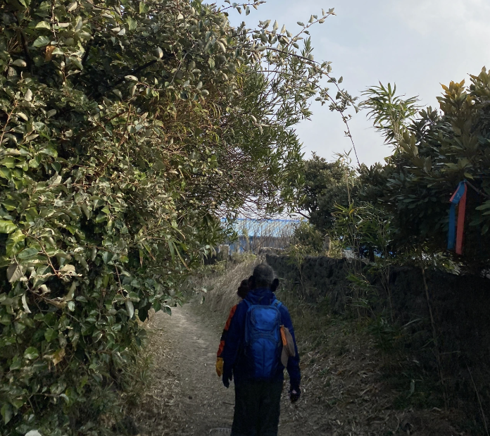 월정리 올레길 걷는사람 뒷모습